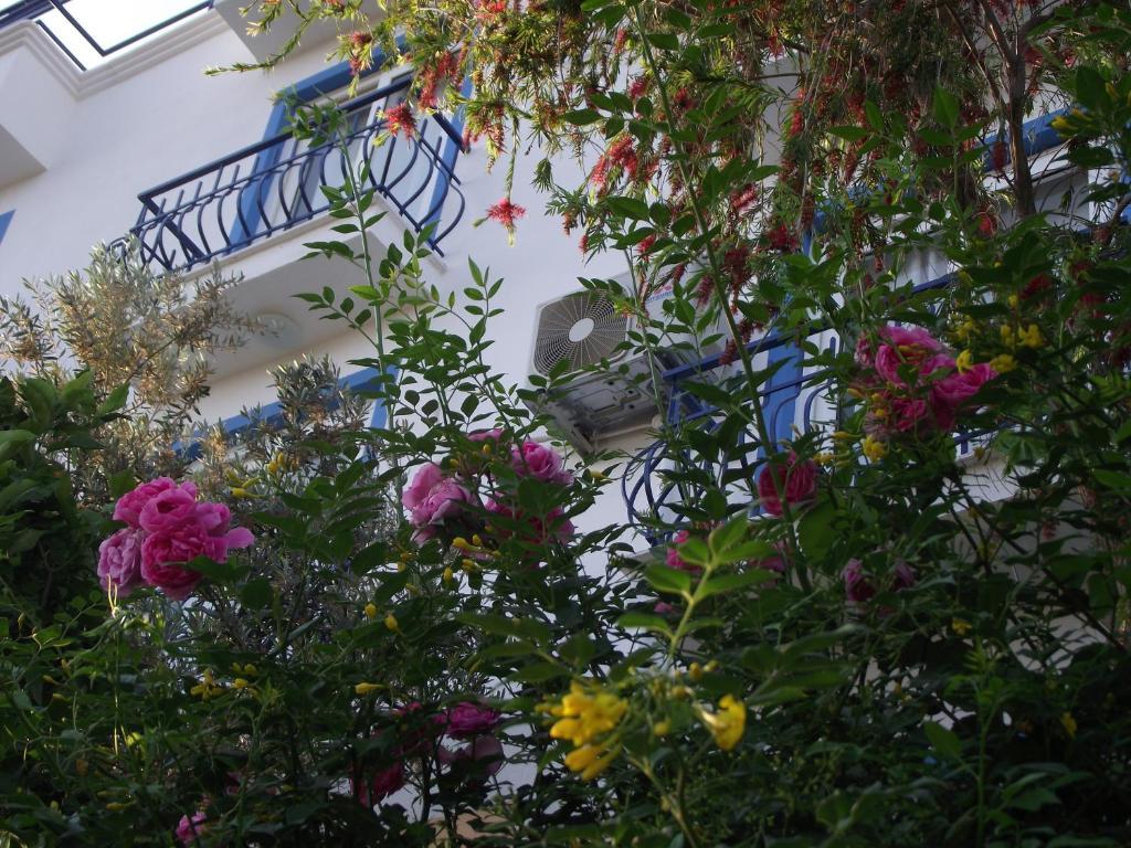 Miramar Pansiyon Kaş Dış mekan fotoğraf