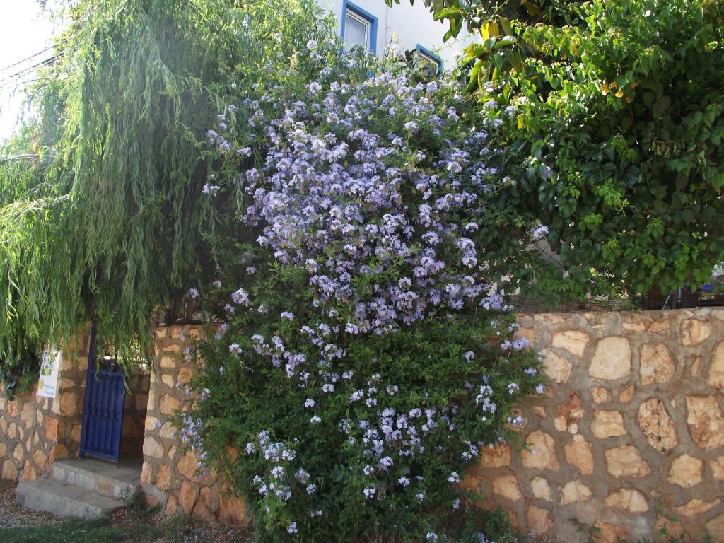 Miramar Pansiyon Kaş Dış mekan fotoğraf